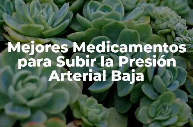 Mejores Medicamentos para Subir la Presión Arterial Baja