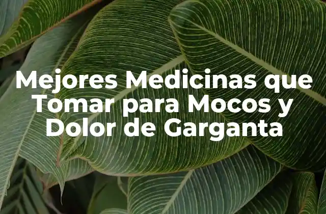 Mejores Medicinas que Tomar para Mocos y Dolor de Garganta