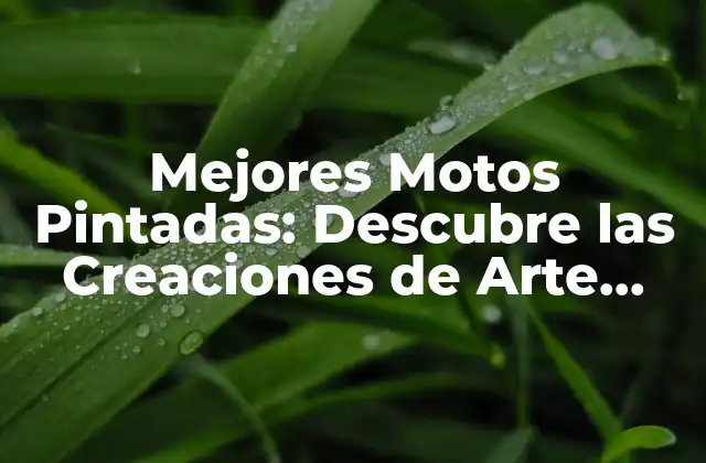 Mejores Motos Pintadas: Descubre las Creaciones de Arte sobre Ruedas