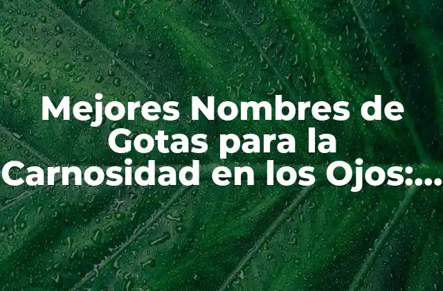 Mejores Nombres de Gotas para la Carnosidad en los Ojos: Cómo Eliminar la Grasa y la Hinchazón