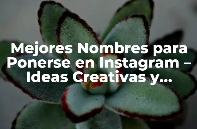Mejores Nombres para Ponerse en Instagram – Ideas Creativas y Únicas
