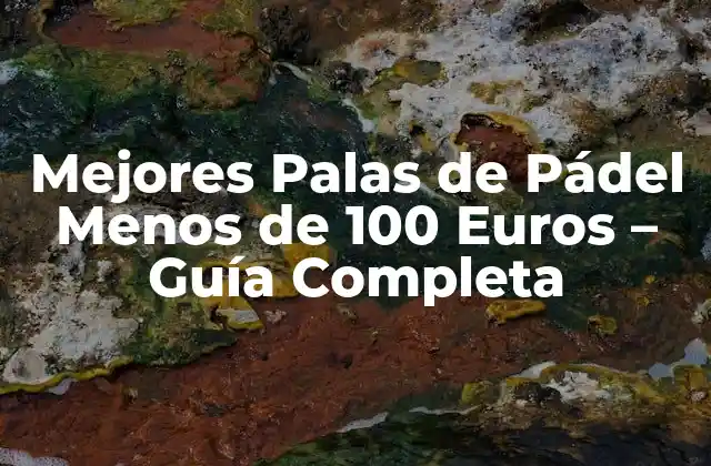 Mejores Palas de Pádel Menos de 100 Euros – Guía Completa