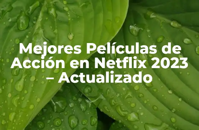 Mejores Películas de Acción en Netflix 2023 – Actualizado