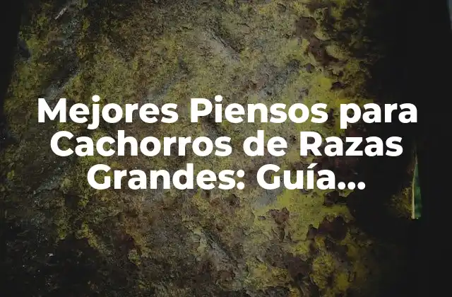 Mejores Piensos para Cachorros de Razas Grandes: Guía Completa
