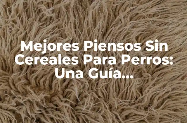 Mejores Piensos sin Cereales para Perros: una Guía Completamente Natural