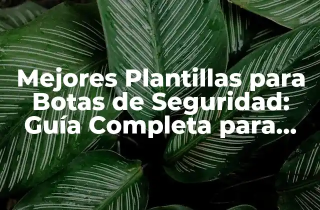 Mejores Plantillas para Botas de Seguridad: Guía Completa para Proteger Tus Pies