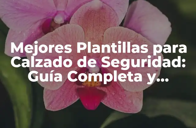 Mejores Plantillas para Calzado de Seguridad: Guía Completa y Actualizada