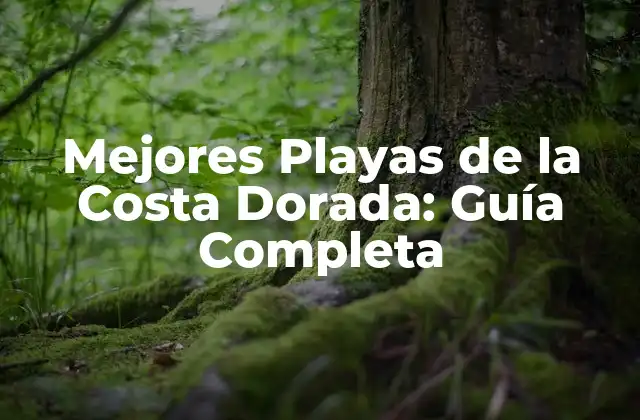 Mejores Playas de la Costa Dorada: Guía Completa 2 Playas de la Costa Dorada para Familias