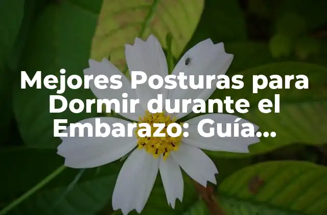 Mejores Posturas para Dormir durante el Embarazo: Guía Completa