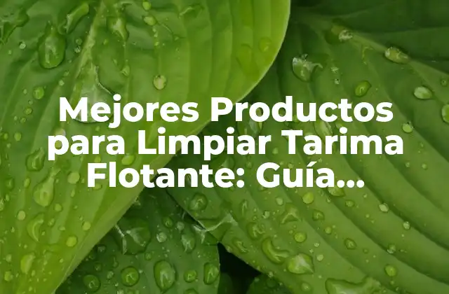 Mejores Productos para Limpiar Tarima Flotante: Guía Completa para Mantener Tu Suelo Limpio