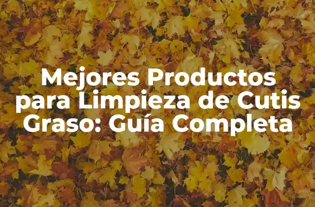 Mejores Productos para Limpieza de Cutis Graso: Guía Completa
