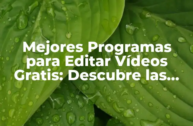 Mejores Programas para Editar Vídeos Gratis: Descubre las Opciones Ideales
