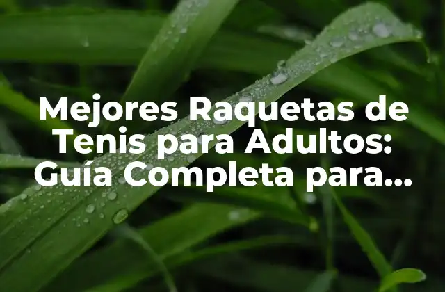 Mejores Raquetas de Tenis para Adultos: Guía Completa para Elecciónperfecta