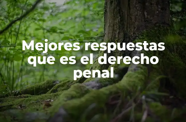 Mejores Respuestas que es el Derecho Penal