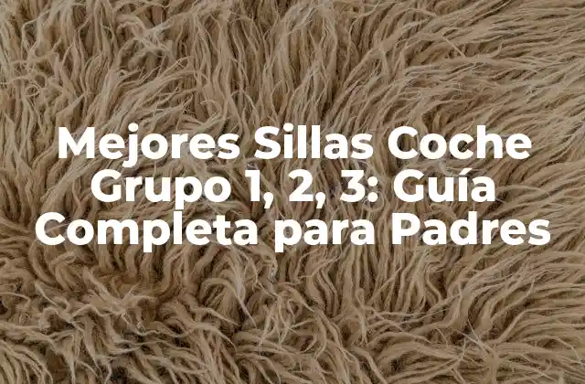 Mejores Sillas Coche Grupo 1, 2, 3: Guía Completa para Padres
