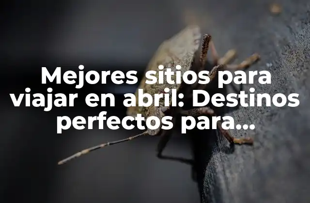 Playas soleadas para disfrutar la primavera