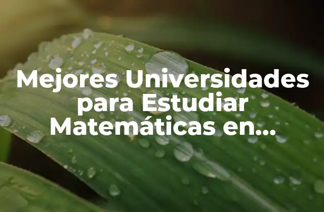 Mejores Universidades para Estudiar Matemáticas en España: Guía Completa