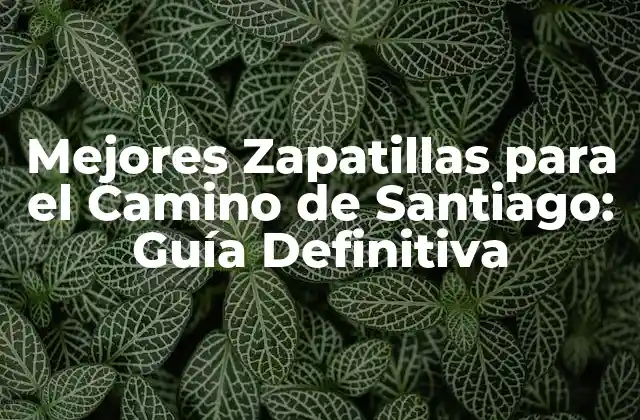 Mejores Zapatillas para el Camino de Santiago: Guía Definitiva