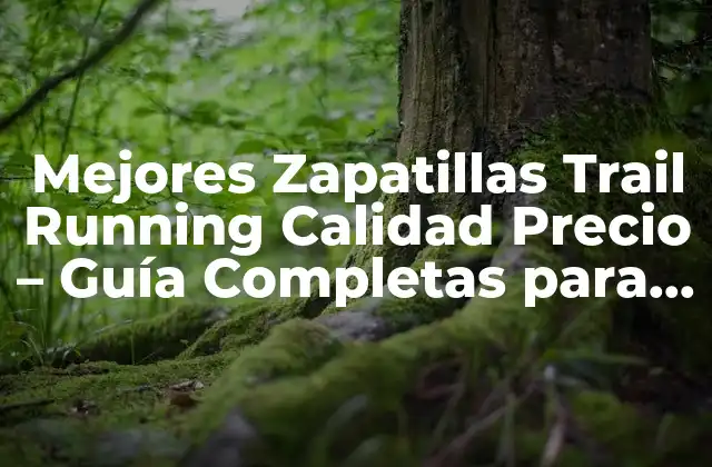 Mejores Zapatillas Trail Running Calidad Precio – Guía Completas para Corredores