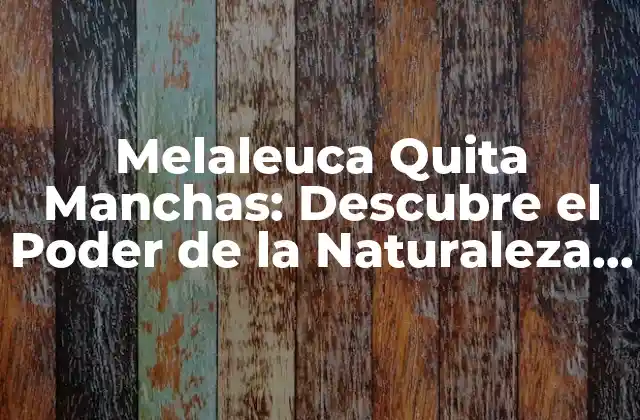 ¿Qué es la Melaleuca y Cómo Funciona para Quitar Manchas?