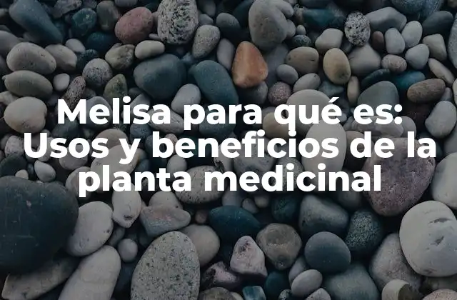 Melisa para Qué Es: Usos y Beneficios de la Planta Medicinal 2 Propiedades medicinales de la melisa