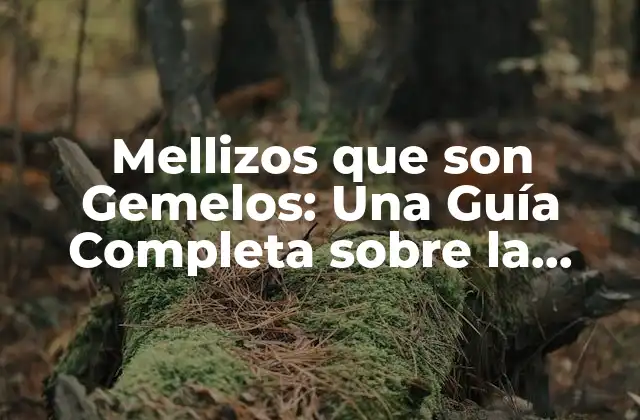Mellizos que Son Gemelos: una Guía Completa sobre la Identidad de los Mellizos