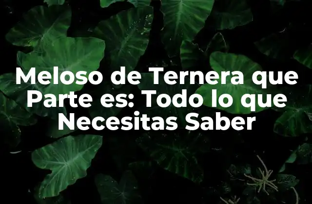 Meloso de Ternera que Parte Es: Todo Lo que Necesitas Saber
