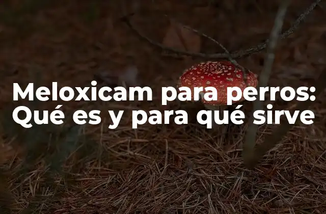 Meloxicam para Perros: Qué es y para Qué Sirve
