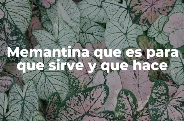 Memantina que es para que Sirve y que Hace