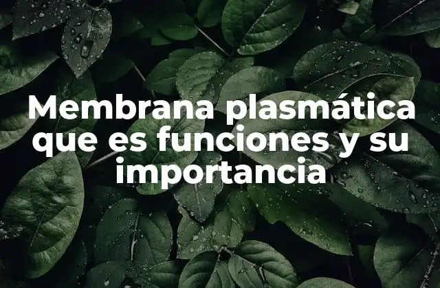 La membrana plasmática como guardiana de la vida celular