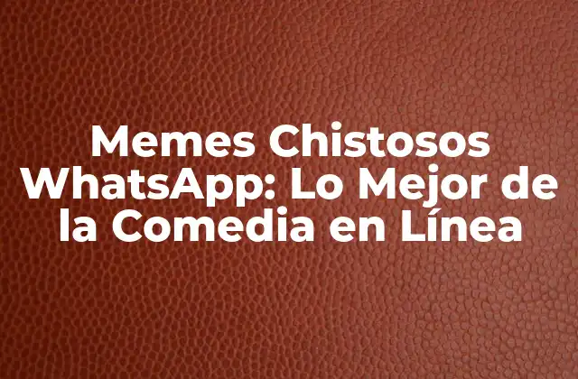 Memes Chistosos Whatsapp: Lo Mejor de la Comedia en Línea