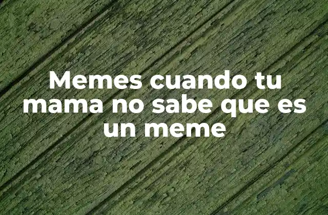 Memes Cuando Tu Mama No Sabe que es un Meme