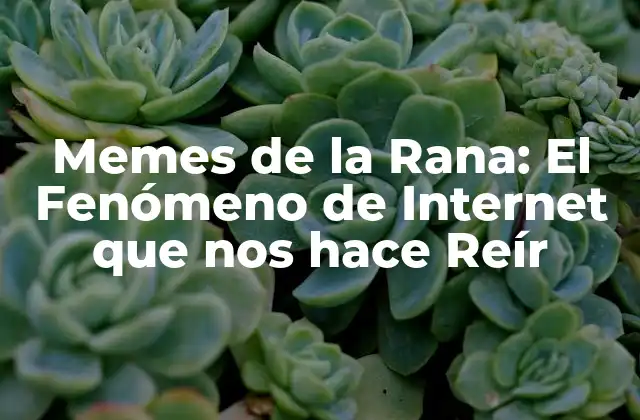 Memes de la Rana: el Fenómeno de Internet que Nos Hace Reír
