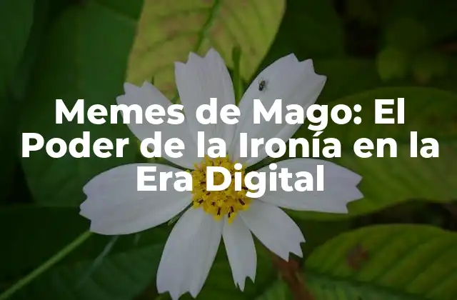 Memes de Mago: el Poder de la Ironía en la Era Digital