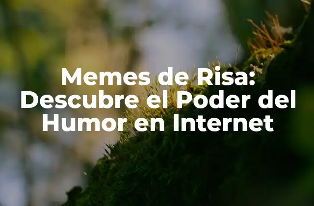 Memes de Risa: Descubre el Poder Del Humor en Internet
