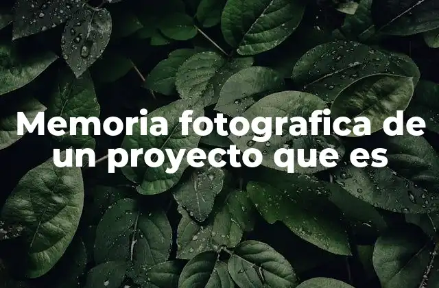 Memoria Fotografica de un Proyecto que es
