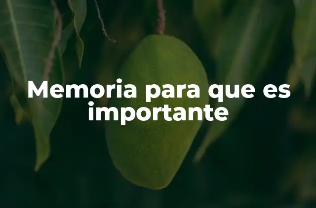 Memoria para que es Importante