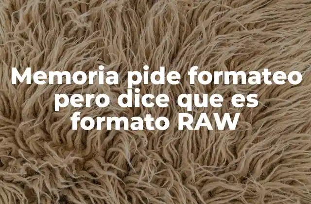 Memoria Pide Formateo pero Dice que es Formato Raw