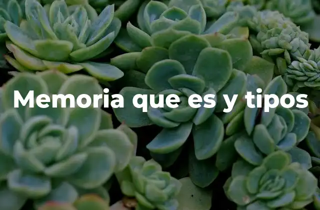 Memoria que es y Tipos