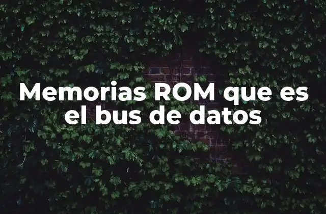 Memorias Rom que es el Bus de Datos
