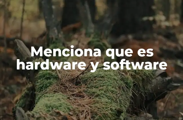 Cómo se complementan los componentes físicos y lógicos en la tecnología