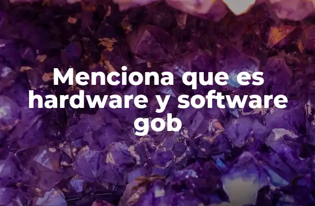 Menciona que es Hardware y Software Gob