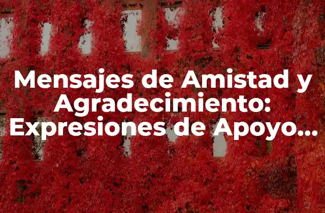 Mensajes de Amistad y Agradecimiento: Expresiones de Apoyo y Reconocimiento