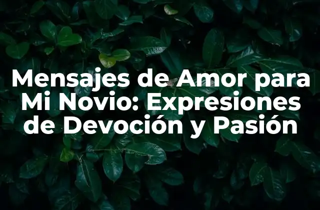 Mensajes de Amor para Mi Novio: Expresiones de Devoción y Pasión