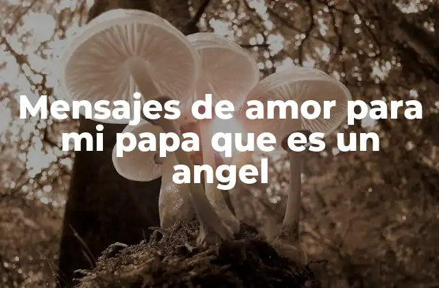 Mensajes de Amor para Mi Papa que es un Angel