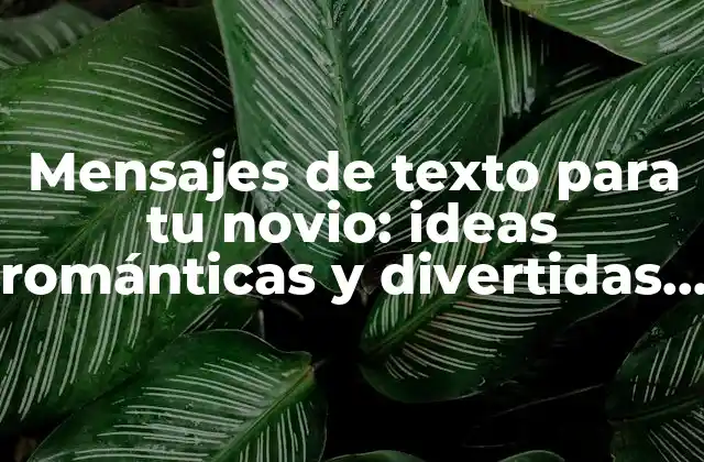 Mensajes de Texto para Tu Novio: Ideas Románticas y Divertidas para Mantener la Llama Encendida