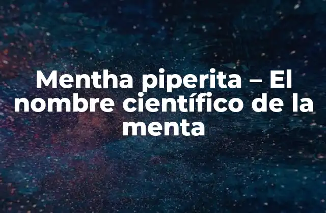 Mentha Piperita – el Nombre Científico de la Menta