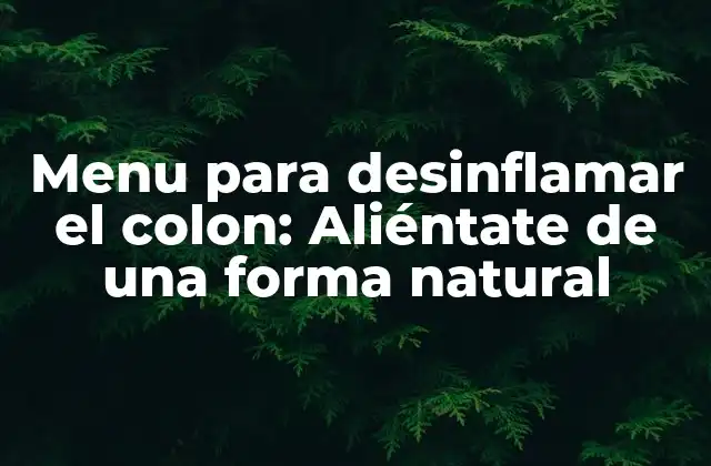 Menu para Desinflamar el Colon: Aliéntate de una Forma Natural
