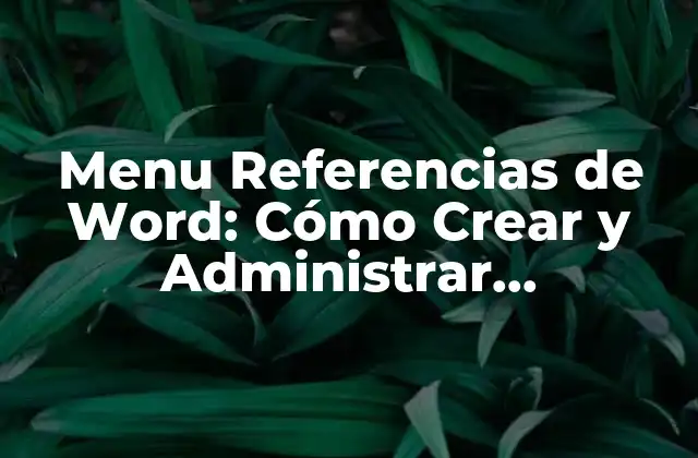 Menu Referencias de Word: Cómo Crear y Administrar Referencias en Microsoft Word