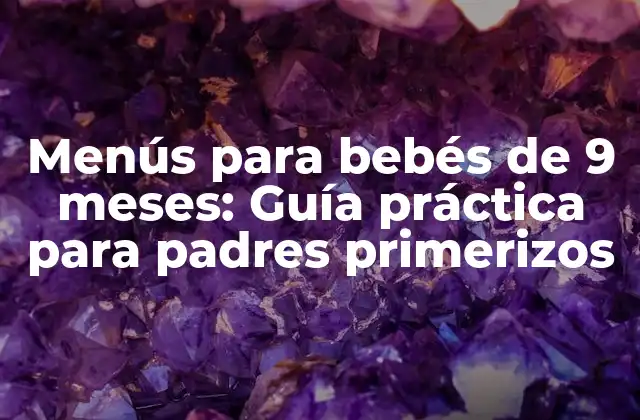 Menús para Bebés de 9 Meses: Guía Práctica para Padres Primerizos